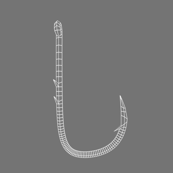 Fishing hook 2