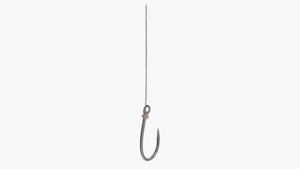 Fishing hook with line
