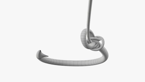 Fishing hook with line
