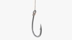 Fishing hook with line