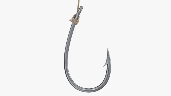 Fishing hook with line