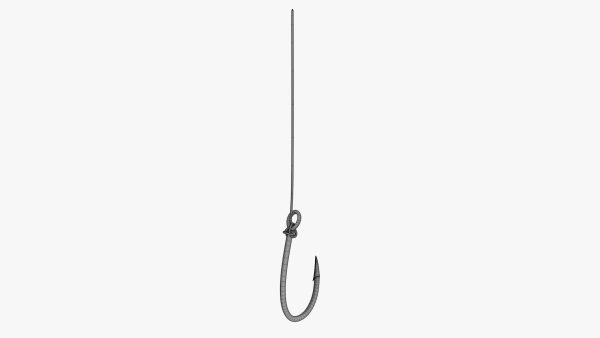 Fishing hook with line