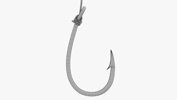 Fishing hook with line