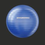 Fitness set dynapro gym ball
