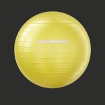 Fitness set dynapro gym ball