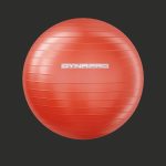 Fitness set dynapro gym ball