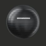 Fitness set dynapro gym ball