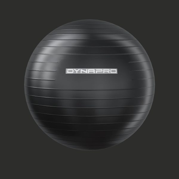 Fitness set dynapro gym ball