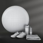 Fitness set dynapro gym ball