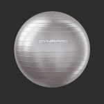 Fitness set dynapro gym ball