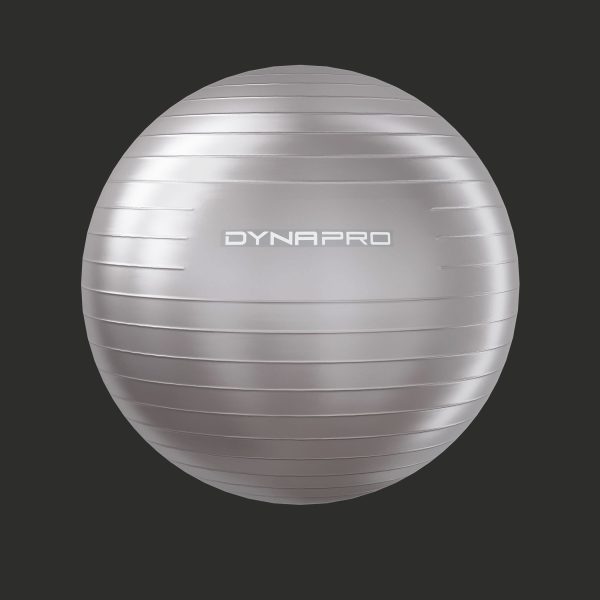 Fitness set dynapro gym ball