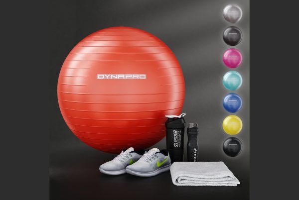 Fitness set dynapro gym ball
