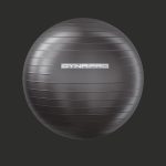 Fitness set dynapro gym ball