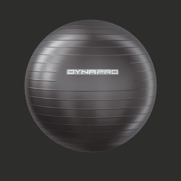 Fitness set dynapro gym ball