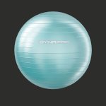 Fitness set dynapro gym ball