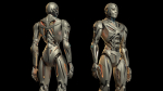 Futuristic Robot Man 3 - Rigged