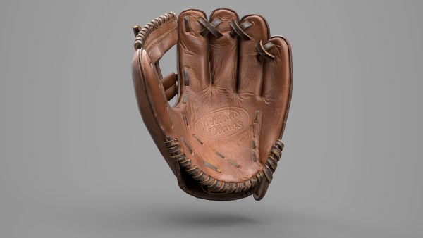 Game Ready Leather Baseball Glove