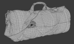 Game-ready Sport Bag 2