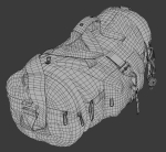 Game-ready Sport Bag 2