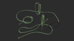Garden Hose