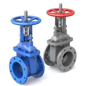 Gate Valve - Parallel Slide