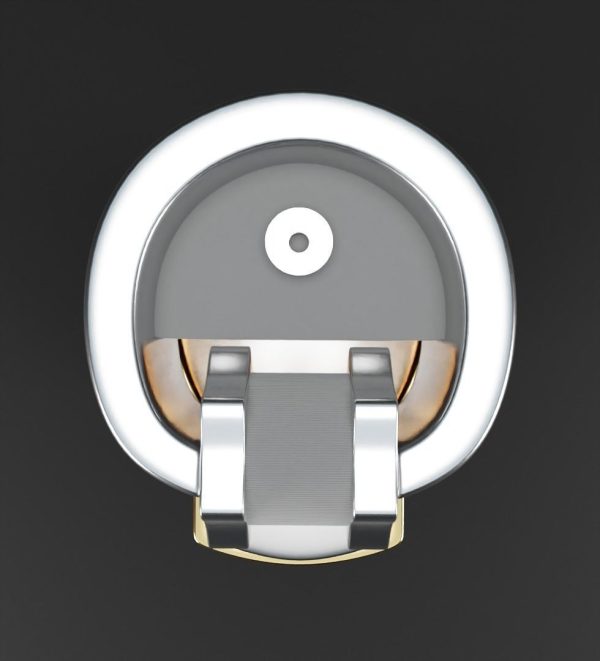 Gold clipper 3D model