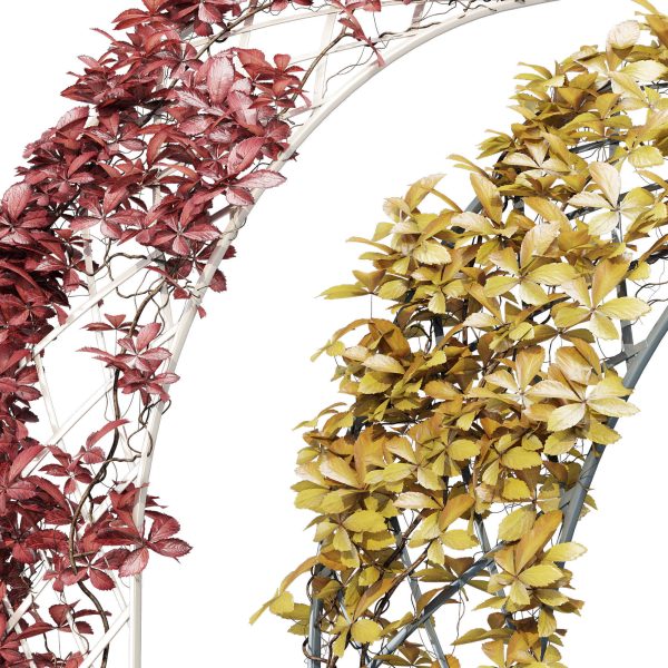 Half-round arch