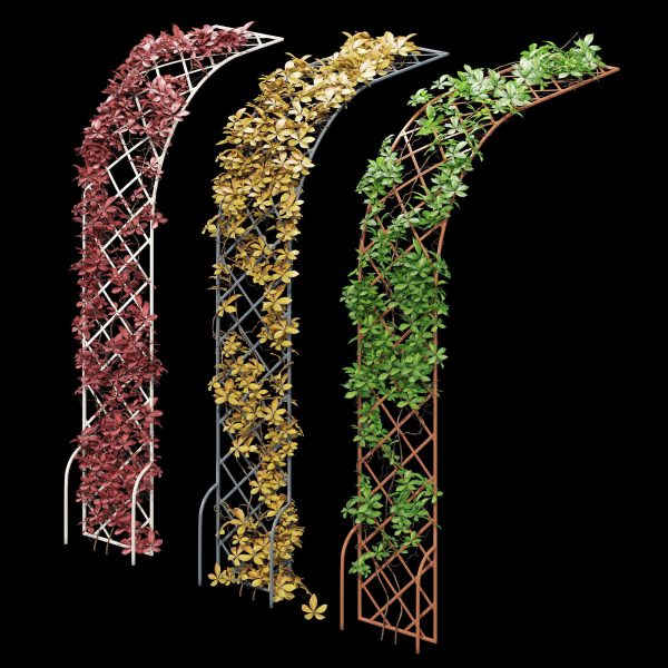 Half-round arch