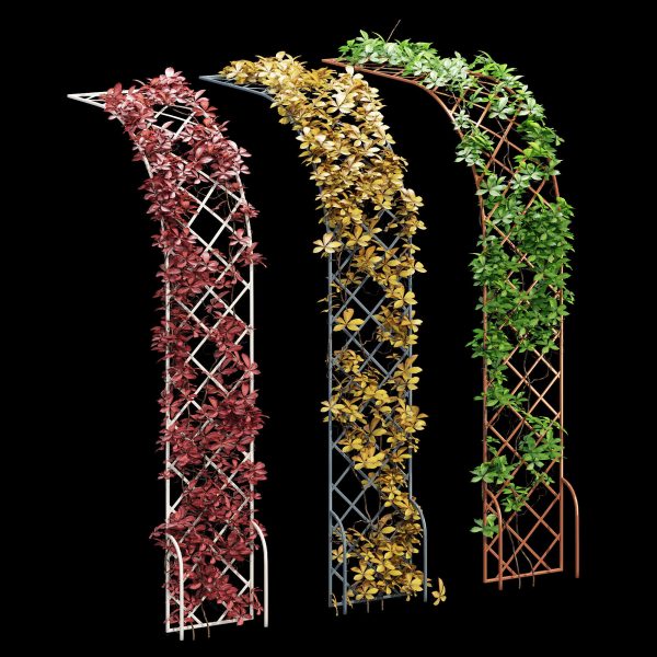 Half-round arch