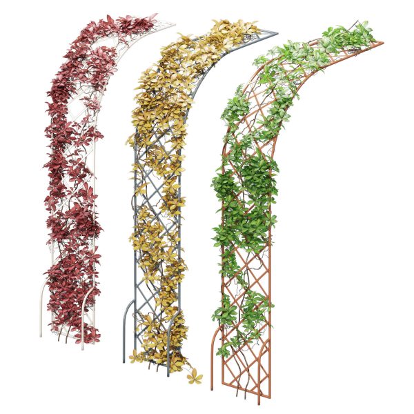 Half-round arch