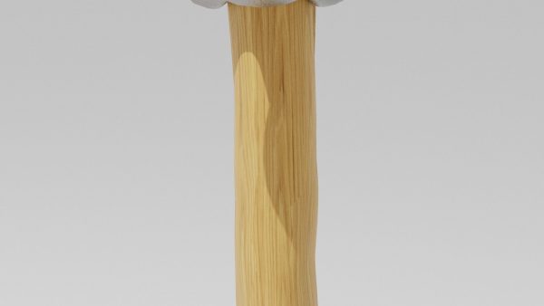 Hammer with wooden handle