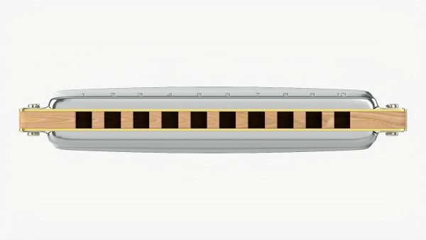 Harmonica diatonic