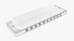 Harmonica diatonic