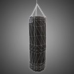 Heavy Punching Bag