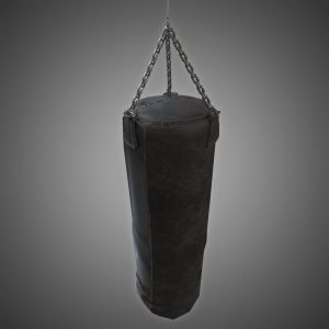 Heavy Punching Bag