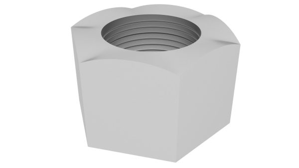 Hex Nut