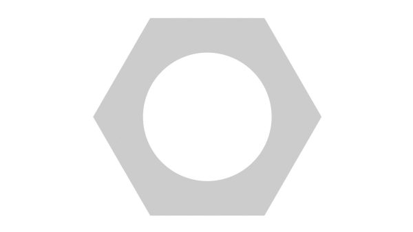 Hex Nut