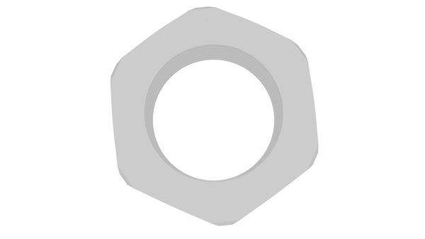 Hex Nut