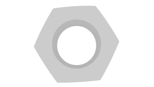 Hex Nut