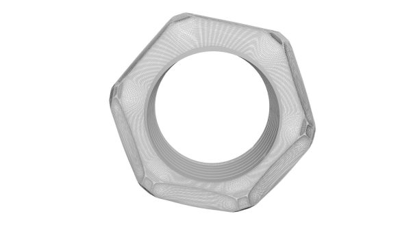 Hex Nut