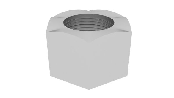 Hex Nut