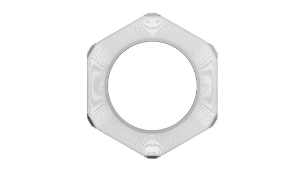 Hex Nut