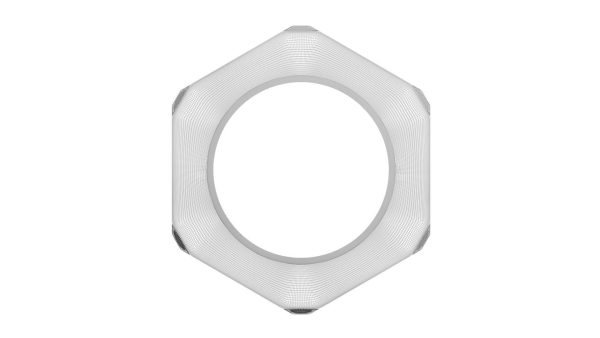 Hex Nut
