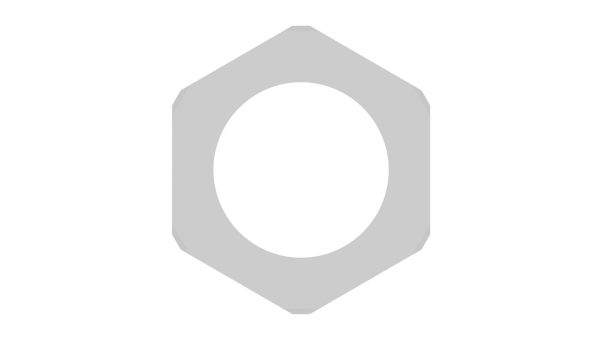 Hex Nut