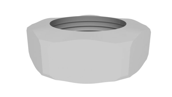 Hex Nut