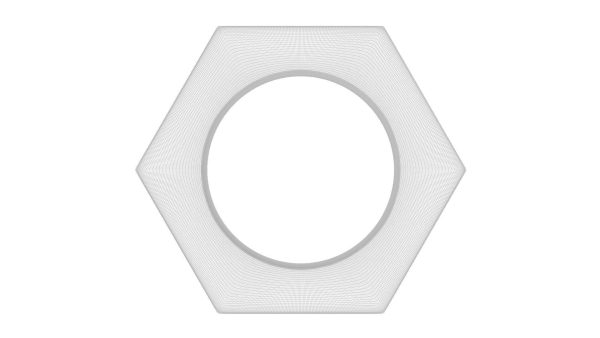 Hex Nut