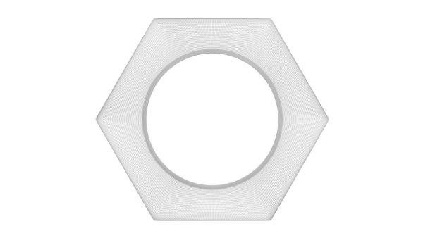 Hex Nut