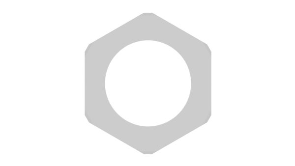 Hex Nut