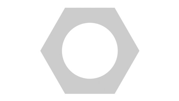 Hex Nut