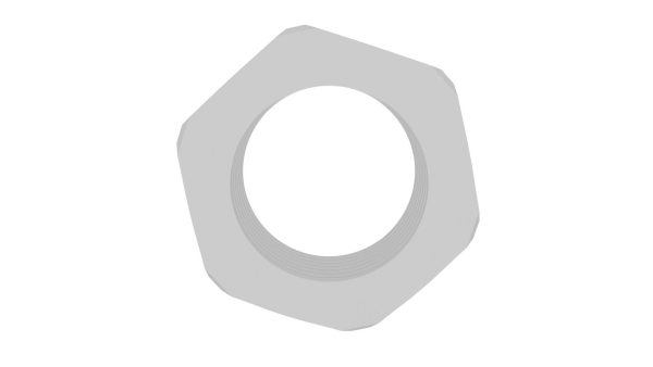 Hex Nut